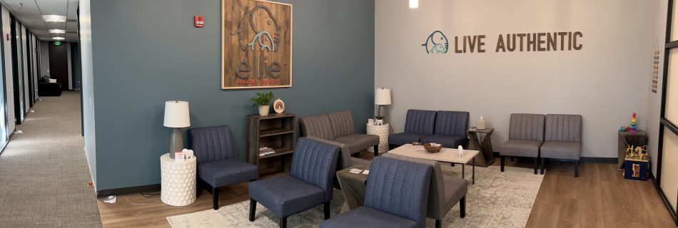 A&B Builders, a premier tenant finish contractor based in Denver, Colorado, recently completed a high-quality interior build-out for a new tenant at Denver West, a highly sought-after office and business campus located in the thriving West Denver submarket near Golden.